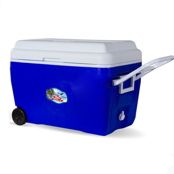یخچال سفری سراب مدل LI 60 گنجایش 60 لیتر - Image 1