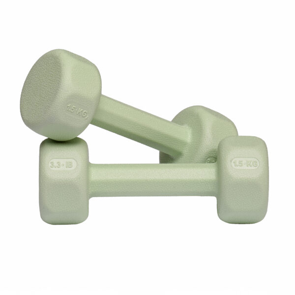 دمبل مدل ant-1500 وزن 1.5 کیلوگرم بسته 2 عددی - Image 1
