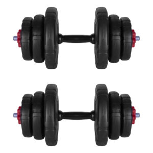 دمبل رادیس فیت مدل DVP-10mix1-v1 وزن 10 کیلوگرم بسته 2 عددی