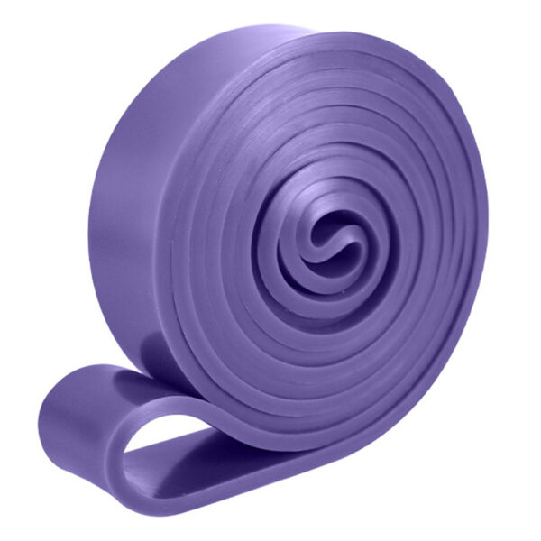 کش ورزشی پاورباند مدل Pro کد Ple-32mm - Image 1