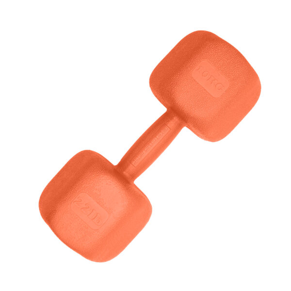 دمبل رادیس فیت مدل RPHF-10000 One Handle وزن 10 کیلوگرم - Image 1
