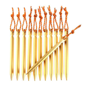 میخ چادر  سفری مدل  AT6535-2 بسته 12 عددی